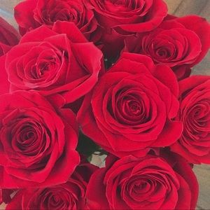 Meet your Posher, Sophia